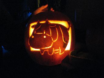Illustration for article titled Kotaku's Super Huge Pumpkin Patch (Part Two)